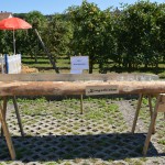 Bierkrugschieben Eventspiel mieten