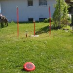 Frisbee spielen mieten