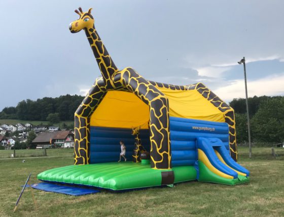 Gumpiburg Giraffe mieten Schweiz Bern Zürich