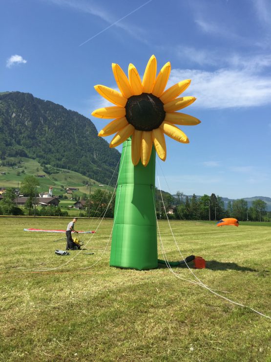 Sonnenblume Blickfang aufblasbar