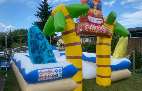 Hawaii Schaumparty