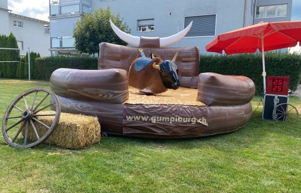 Bull-Riding